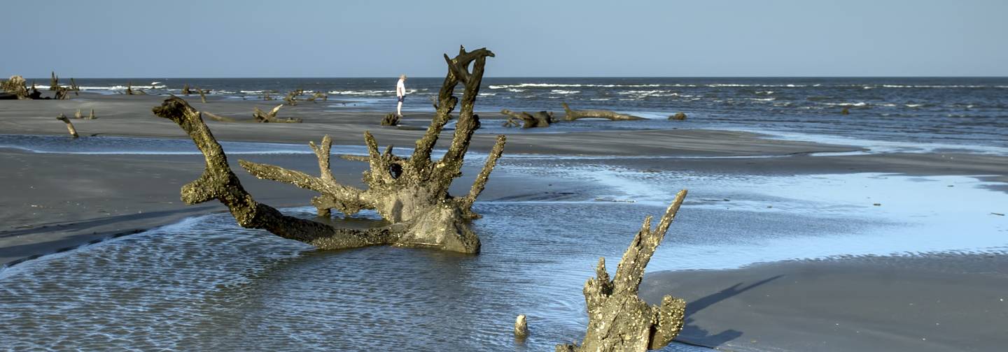 Barrier Island Eco Tours callout